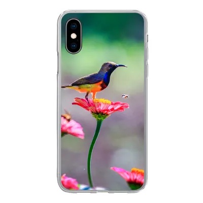 Produktbild von MuchoWow® Handyhülle Schutzhülle Hülle für iPhone X Nahaufnahme eines Kolibris auf rosa Blüten Silikon Softcase Handy Hülle - Handyhülle