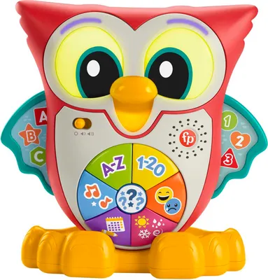 A Fisher-Price BlinkiLinkis Schlaue Eule Lernspielzeug, a toy owl, is shown against a white background.
