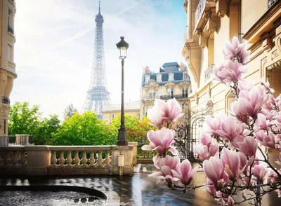 Obrázok produktu pre RAVENSBURGER Puzzle Paríž 500 dielikov