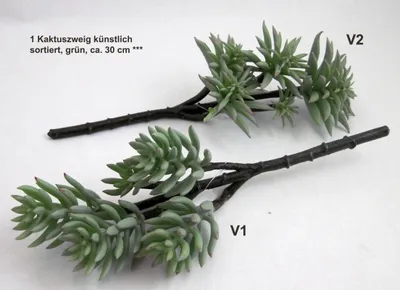 Produktbild von 1 Kaktuszweig künstlich, sortiert, grün, ca. 30 cm