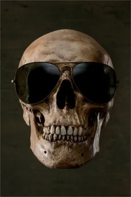 Produktbild von Wallario selbstklebendes Poster - Totenschädel mit cooler Sonnenbrille, Größe: 100 x 150 cm
