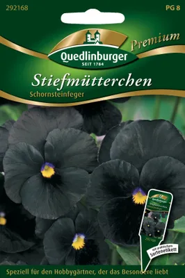 Produktbild von Stiefmütterchen Schornsteinfeger | Veilchensamen von Quedlinburger