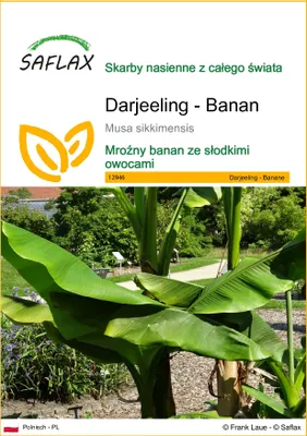 Zdjęcie produktu dla SAFLAX - Darjeeling - Banan - 5 Nasiona - Musa sikkimensis