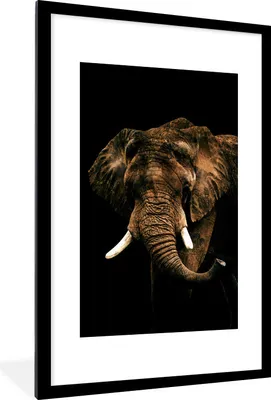 Produktbild von MuchoWow® MuchoWow® Gerahmtes Poster Elefant - Schwarz - Braun 60x90 cm - Poster mit zchwarzem Bilderrahmen - Dekoration - Wandposter Wohnzimmer - Hochwertig