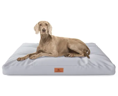 Produktbild von Knuffelwuff Hundekissen Gatsby aus Oxford-Gewebe 110x89cm Grau