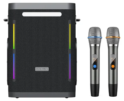 Obrázek produktu pro Přenosný karaoke systém Party 1981 s Bluetooth 5.3, výkon 300 W, včetně 2 bezdrátových mikrofonů