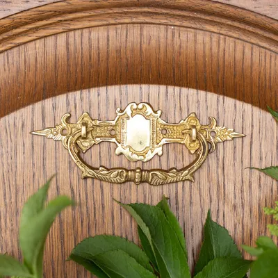 A close-up shot of an antique brass drawer pull on a wooden surface, with green leaves in the foreground.