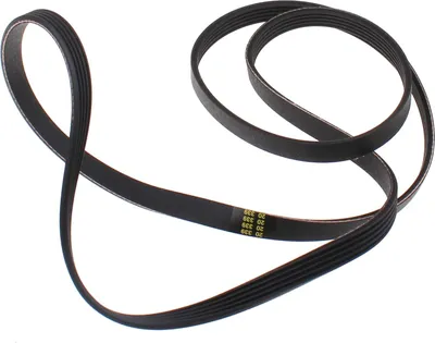 Obrázok produktu pre Fagor / Brandt - Keilrippenriemen 1161 Pj5 Elastický Kord - 55X2987