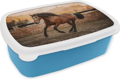 Produktbild von KitchenYeah® Lunchbox Brotzeit Brotdose 17x11 cm Pferd - Braun - Stein Kinder Brotzeitdose - Lunch - Kunststoff  - Brotbüchse - Sandwichbox - Lunchbox für Kinder