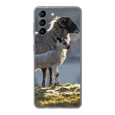 Produktbild von MuchoWow® Handyhülle Schutzhülle Hülle für Samsung Galaxy S21 Schaf - Lamm - Sonne Silikon Softcase Handy Hülle - Softcase