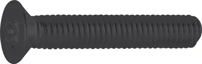 Produktbild von Senkkopfschrauben schwarz M5x16 - Senkschrauben mit TX25, Stahl verzinkt - 1000 Stück