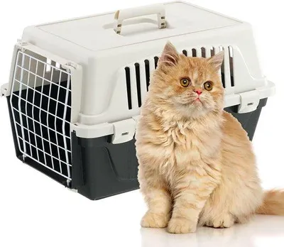 Produktbild von Famanu Transportbox für kleine Haustiere - 48 x 32,5 x 29 cm