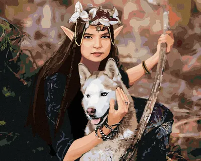 Produktbild von Diamondi - Diamond painting - ELFENPRINZESSIN UND WOLF, 40X50 cm, ohne Keilrahmen