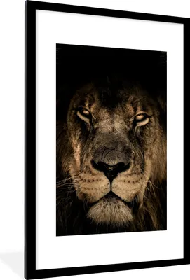 Produktbild von MuchoWow® Gerahmtes Poster Löwe - Tiere - Schwarz - Porträt 60x90 cm - Poster mit Schwarzem Bilderrahmen Wandposter Rahmen Foto Bilder - Dekoration - Wandposter Wohnzimmer - Hochwertig