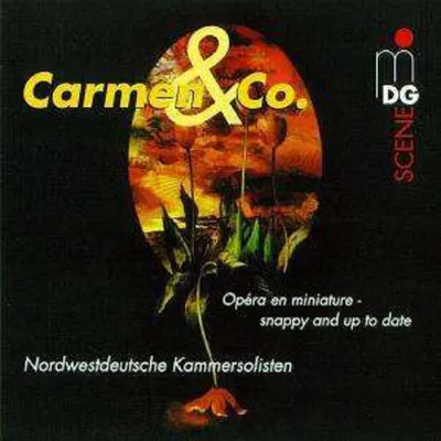 Obrázek produktu pro Nordwestdeutsche Kammersolisten - Carmen & Co. -   - (CD / N)