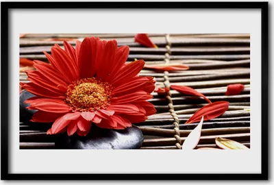 Produktbild von Bild 60x40 MDF-Rahmen Wandkunst Natur Blume Pflanze