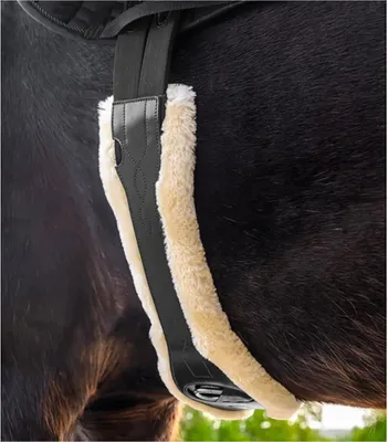 Image de Waldhausen Sangle de selle en cuir avec ECO Wool
