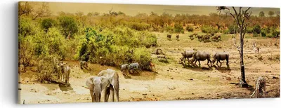 Produktbild von Bild auf Leinwand - Leinwandbild - Safari Tiere - 90x30cm - Wand Bild - Wanddeko - Wandbilder - Leinwanddruck - Bilder - Kunstdruck - Wanddekoration - Leinwand bilder - Wandkunst - AB90x30-3880