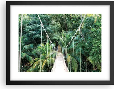 Produktbild von Gerahmtes Poster - Schwarzer Rahmen - Tropen Dschungel Brücke - 40x30 cm - Wand Bild - Wanddeko - Wandbilder - Kunstposter - Wandposter - Bilderrahmen - Bilder - Kunstdruck - P2BAA40x30-4963