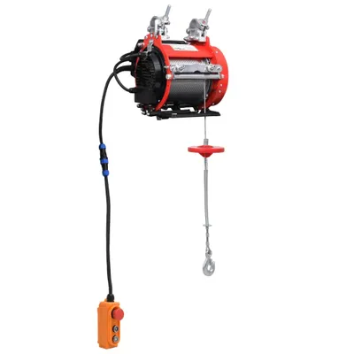 Image de Palan électrique 500 kg 230 V