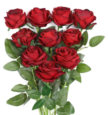 Künstliche Rosen aus Seide, 10 Stück, weinrot, 50 cm