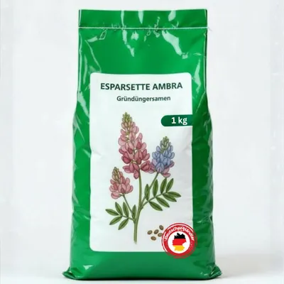 Produktbild von Samenshop24® Esparsette Ambra Onobrychis viciifolia, Futterpflanze Gründünger 1kg