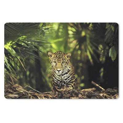 Produktbild von MuchoWow® Schreibtischunterlage Junger Jaguar im Dschungel 60x40 cm - XXL Mauspad - Großes Mauspad