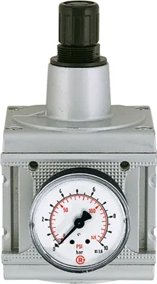Zdjęcie produktu dla Regulator ciśnienia Riegler "multifix", z manometrem, BG 5, G 1, 0,5 - 10 barów