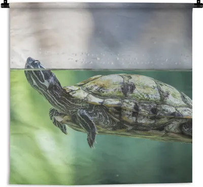 Produktbild von MuchoWow® Wandteppich Wandbehang Nahaufnahme einer Schildkröte 90x90 cm Tapisserie Dekoration Wandtuch - Wandaufhänger