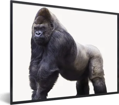 Produktbild von MuchoWow® Gerahmtes Poster Gorilla - Tiere - Jungen - Mädchen - Kinder 80x60 cm - Poster mit Schwarzem Bilderrahmen Wandposter Rahmen Foto Bilder - Schwarzem - Mit Gestell