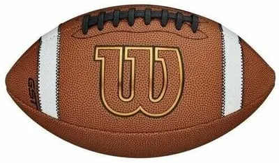 A Wilson football is shown against a white background.