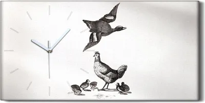 Produktbild von Wandkunst Leinwand Bild Uhr Geräuschlos 60x30 Zeichnen von Tieren Vögel Kunst - weiße Hände