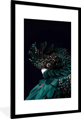 Produktbild von MuchoWow® MuchoWow® Gerahmtes Poster Kakadu - Vogel - Schwarz 60x90 cm - Poster mit zchwarzem Bilderrahmen - Dekoration - Wandposter Wohnzimmer - Hochwertig