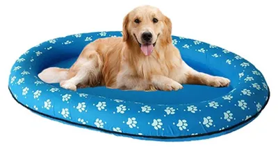 Produktbild von Aufblasbarer Hundepool – Schwimmendes Boot – Geeignet für Hunde bis 40 kg – Ovaler Fußabdruck 140x96 cm – Sicher für Haustiere – PVC-Material – Hundefloat