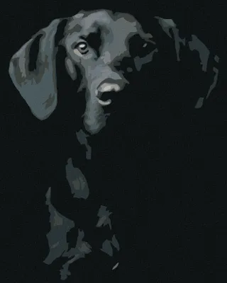 Produktbild von Zuty - Malen nach Zahlen - SCHWARZWEIßER HUND, 40x50 cm, ohne Keilrahmen
