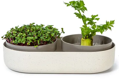 Artikelbild 1 von 'Sprossenschale & Pflanzschale ReGrow' aus der Kategorie Keimschale