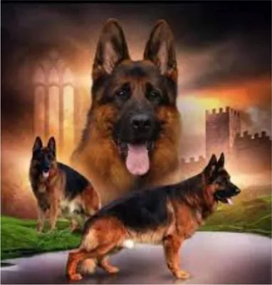 Produktbild von Diamantmalerei: Schäferhund vor einer Burg, 30x40 cm, kreative Diamanten
