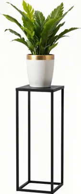 A potted plant sits on a black metal stand against a white background.
