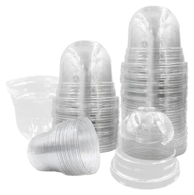 Produktbild von 50 transparente Pflanzenkästen, transparente Anzuchtkästen