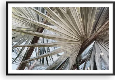 Produktbild von Gerahmtes Poster - Schwarzer Rahmen - Blatt Palme Natur - 91,5x61 cm - Wand Bild - Wanddeko - Wandbilder - Kunstposter - Wandposter - Bilderrahmen - Bilder - Kunstdruck - P2BAA91x61-5056