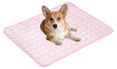 Image de Tapis rafraîchissant pour chiens, idéal pour l'été