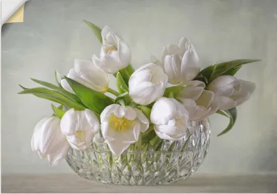 Produktbild von ARTland Wandbild, selbstklebend Weiße Tulpen Größe: 30x20 cm