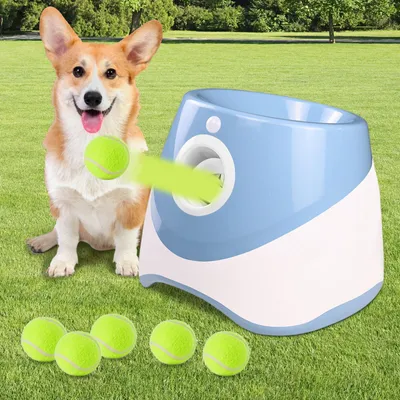 Automatischer Ballwerfer für Hunde, 6 Bälle, 3 Wurfweiten, blau