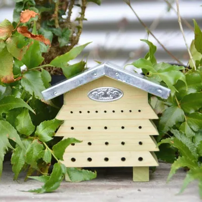 Image de Abri abeilles en bois