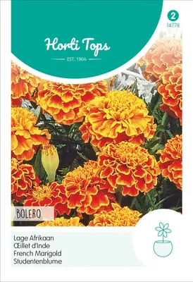 Artikelbild 2 von 'Studentenblume Bolero' aus der Kategorie Studentenblumensamen