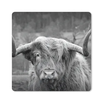 Produktbild von MuchoWow® Mauspad Mousepad Schottischer Highlander - Kuhkopf - Landschaft - Natur - Kuh 20x20 cm - Mousepads - Maus Mat - Pad - Mausunterlage - Desk Mat - Bureauartikeln