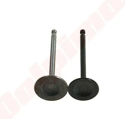 Immagine prodotto di Valvola per Honda Gx100 ( 14711-Z0D-000 )