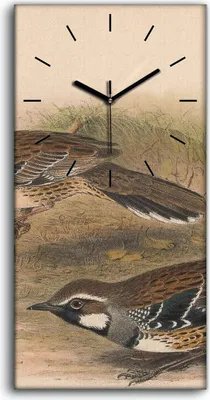 Produktbild von Wanduhr Bürouhr Leinwand Bild Geräuschlos 30x60 Vögel Wild Tiere Zeichnung Kunst - schwarze Hände