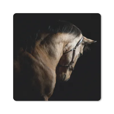 Produktbild von MuchoWow® Mauspad Mousepad Pferde - Halfter - Schwarz 20x20 cm - Mousepads - Maus Mat - Pad - Mausunterlage - Desk Mat - Bureauartikeln