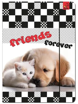 Image de Lot de 5 pochettes A4 avec élastique « Chat et chien »